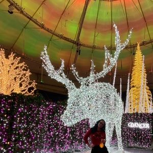 Meet your Posher, Ekaterina